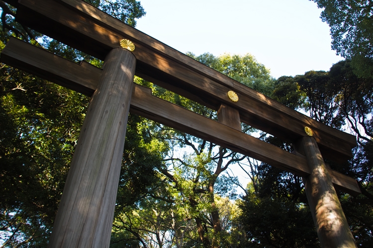 ここのパワーはすごい！！”日本最古”の神社で所願成就☆