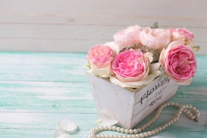 Pink Roses In Wooden Pot On Turquoise Background Against White