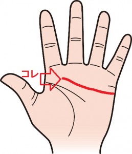 感情線…感情線とは、小指の下から、人差し指・中指方向へ向かって伸びる線。