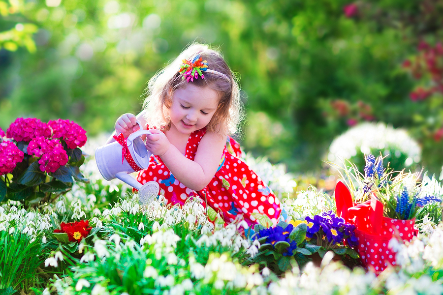 Cute curly little girl in a red summer dress working in the garden watering first spring flowers on a sunny warm day