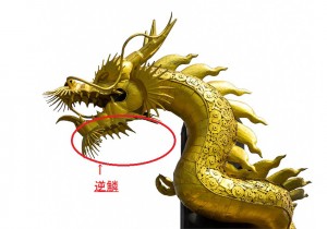 Golden and copper-red dragon isolate over white background