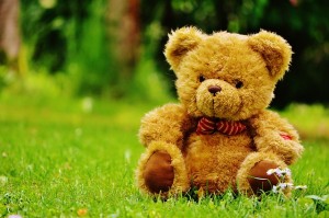 teddy-bear-792278_640