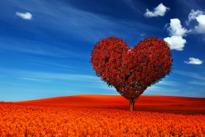 Heart shape tree with red leaves on red flower field. Love symbo