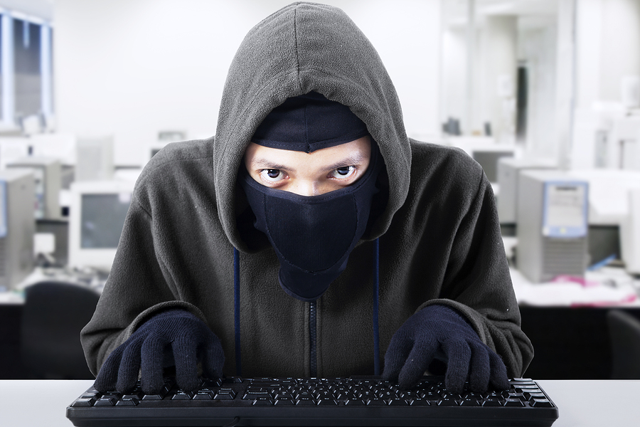 Hacker Stealing Business Information