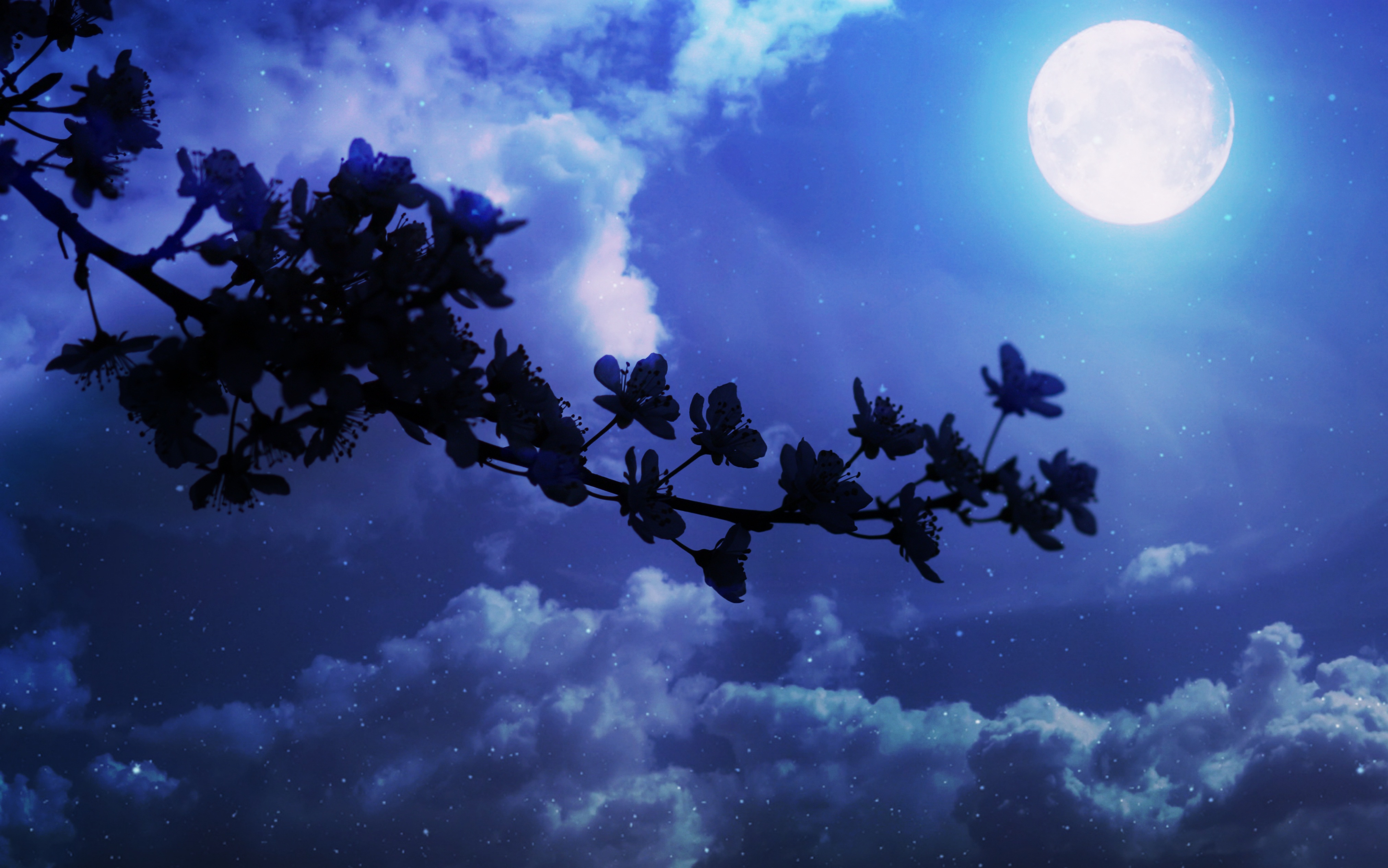 中秋の名月を見に出かけませんか？今年の十五夜は9月15日・おすすめスポット６選！