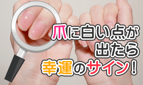 爪に白い点は幸運のサイン！親指、人差し指、中指、薬指、小指で変わる意味