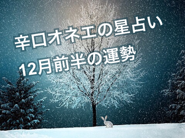 【辛口オネエ】12月前半の運勢◆牡羊座・獅子座・射手座