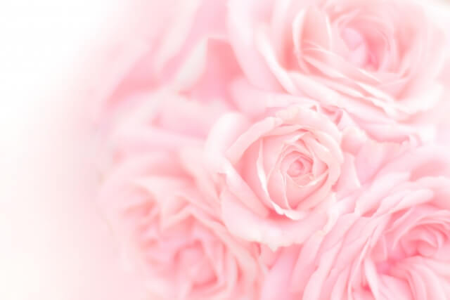 【簡単両思い】バラの花モチーフのイヤリングorピアスのおまじないで、毎日お手軽恋愛祈願