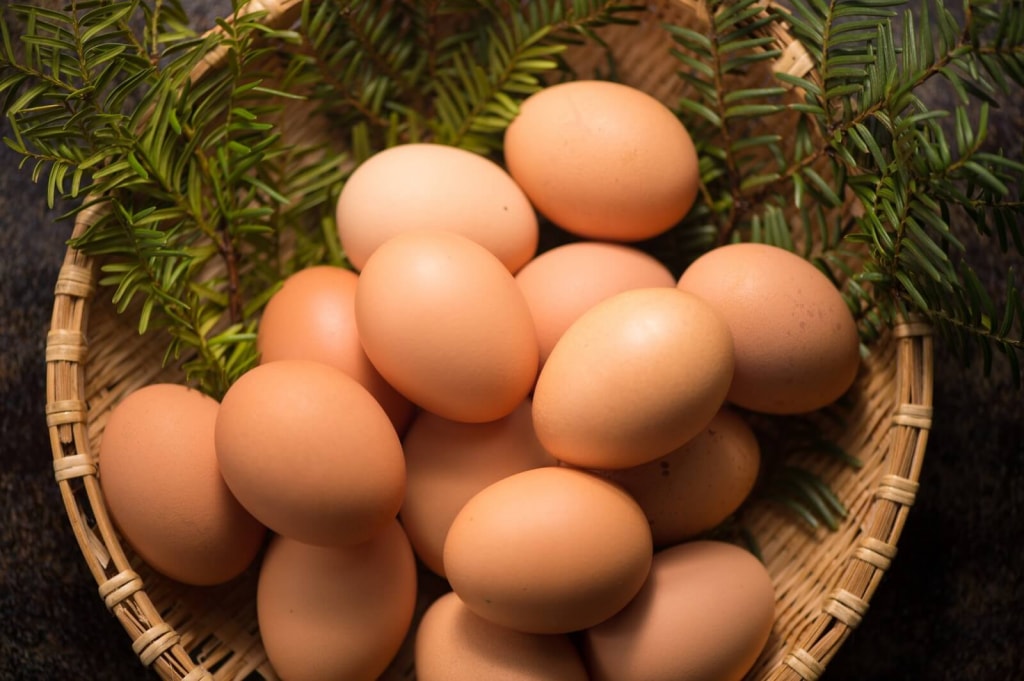 卵は糖質制限中の食べ物に最適！？